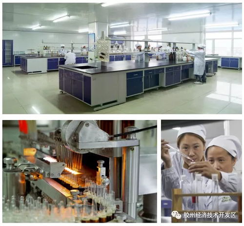 集中簽約，示范區(qū)明星企業(yè)精彩亮相——精心設(shè)計(jì)網(wǎng)站助力招商盛會